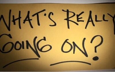 Navigating CEO and Board Relationships: The Systemic Way